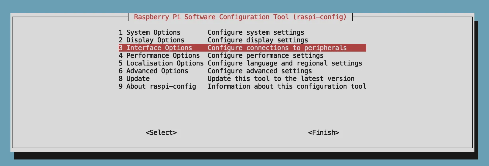Interface Options
